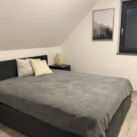 בית נופש Lesna Przystan Kaszuby